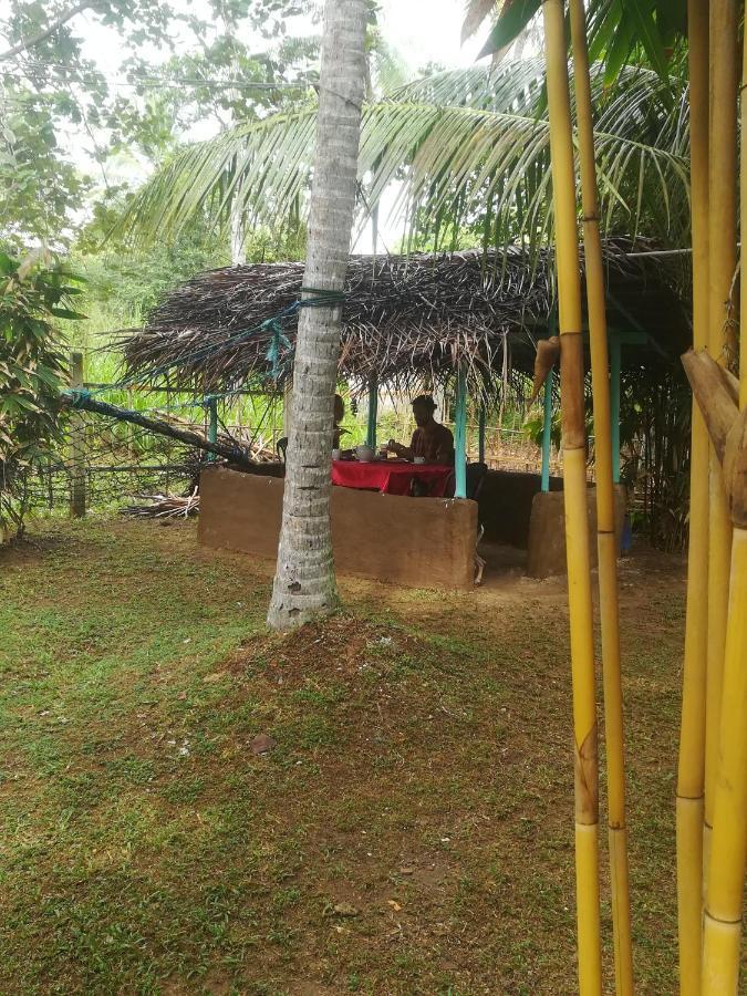 Bamboo Home Stay Hiriketiya Dickwella Exterior photo